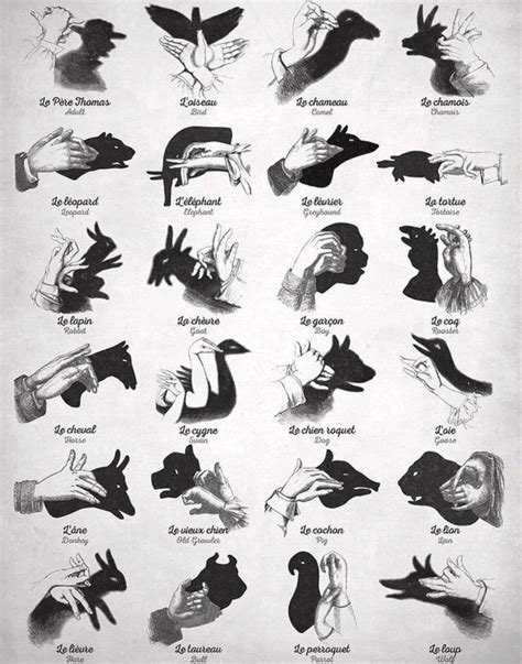 How to make shadow animals with your hands. | İşaret dili, Gölge oyunu, Ilüzyonlar