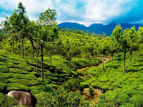 Top 10 Tourist Places In Kerala Best Places To Visit In Kerala