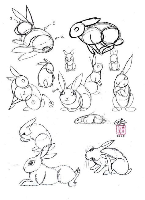 Realistic Bunny Drawing at GetDrawings | Free download