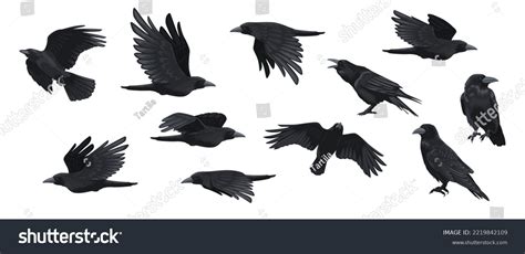 Share more than 76 small black bird tattoo super hot - in.coedo.com.vn