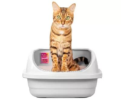 SmartyKat Odor Erase Litter Box Odor Absorber | Big Lots