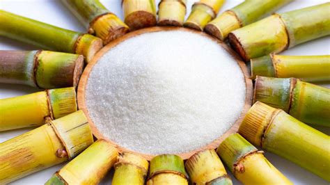 Is Cane Sugar Vegan Everything You Need To Know