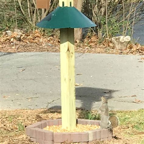 Best Squirrel Baffles For 4x4 Posts Bird Feeder Hub