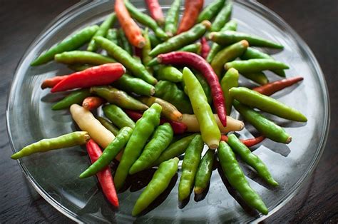 Chili Pepper 101 Archives Spicy Food Reviews And Recipes