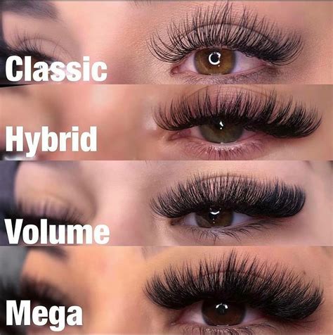 Difference Between Classic Russian Volume Hybrid And Mega Volume