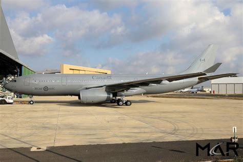 First Grey Rcaf Husky