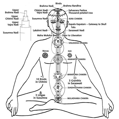 The Nadis The Subtle Energy Channels Blog Japam Yoga