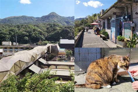 瑞芳景點 猴硐貓村 與貓咪零距離接觸，還能賞景喝下午茶 Sweet Tina 樂在生活分享