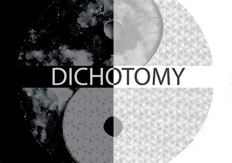 dichotomy  behance