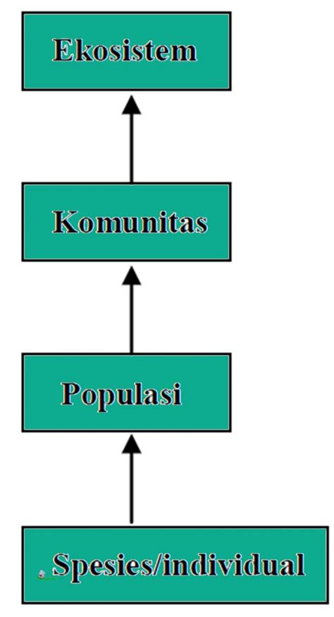 Apa Yang Dimaksud Ekosistem Komunitas Populasi Aplikasi Pendidikan