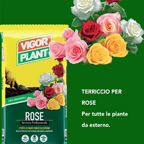 Vigorplant Terriccio Per Rose L Nuova Elica