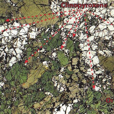 An example of a xenolith collected from East Otago. | Download ...