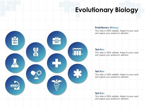 Evolutionary Biology Ppt Powerpoint Presentation Show Backgrounds ...