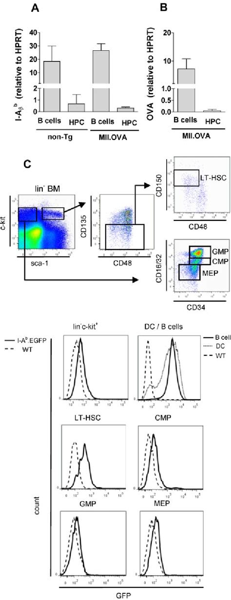 Figure 1 From Tolerance Induction With Gene Modified Stem Cells And