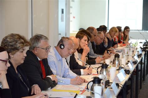 high level working group finalises  progressive vision  europes