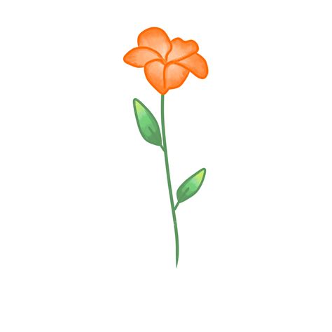 Design De Ilustração Estética De Flor De Laranjeira Png Elementos ícone Ilustração Imagem