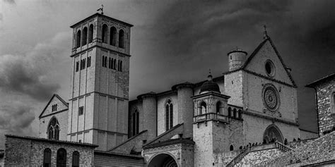 assisi lynx pictures