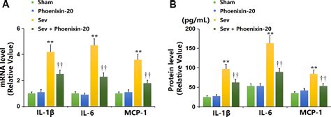 Figure From Phoenixin Ameliorates Sevoflurane Inhalation Induced