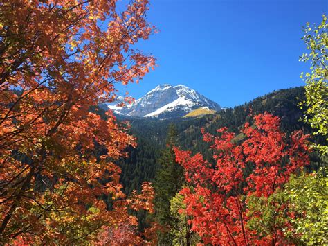 Fall in the Wasatch Mountains, Utah | SkyAboveUs