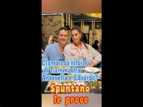 Gf Vip Clamoroso Ritorno Di Fiamma Tra Antonella E Edoardo YouTube