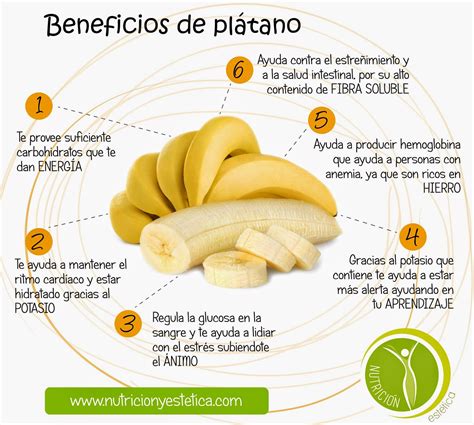 Nutricion Estetica ¿por Qué El Plátano Es Importante En Tu Dieta