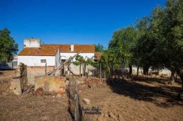 Quintas E Herdades Quintinha T Mais Fotos Para Venda Em