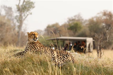 Botswana Luxury Safari - Hidden Africa