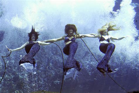 Weeki Wachee Springs Mermaids A History Of Mermaids In Pop Culture