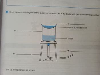 Answered Copper Sulfate Solution Water D Bartleby