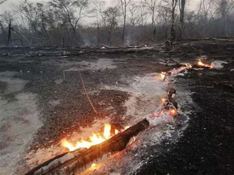 Incendios Destruyen 670000 Hectáreas De Bosques Y Pastizales En Santa