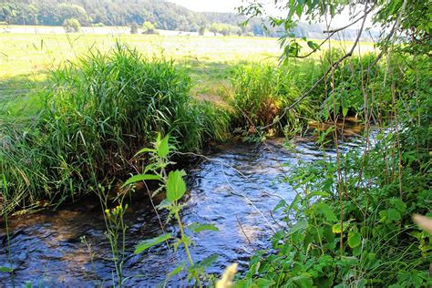 Wasserversorgung ist auch in Trockenperioden in Herdwangen Schönach