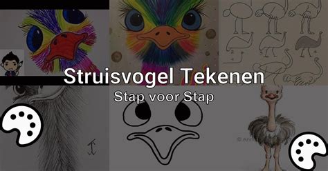 Struisvogel Tekenen Stap Voor Stap Tekenen Nu