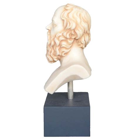 Socrates Bust Statue - Western Philosophy - Plato Aristotle Students ...