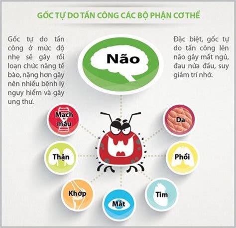 Oxi hóa là gì Những điều cần lưu ý về oxi hóa Trim ion Việt Nam