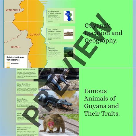 Discovering Guyana: Land of Waterfalls, Wildlife, and Culture