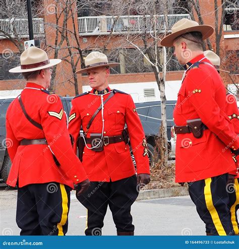 Real Polic A Montada De Canad En El Desfile De La Copa Gris Foto