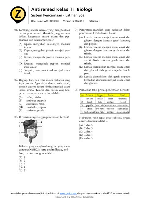 Soal Tentang Sistem Ekskresi Homecare