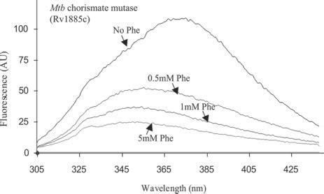 Phenylalanine Binding Leads To A Change In The Fluorescence Spectrum Of