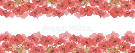 Hand Drawn Watercolor Red Poppy Flowers Frame Border Isolated On White