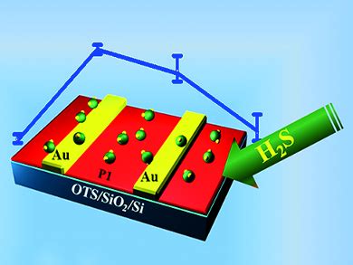 Hydrogen Sulfide Sensors - ChemistryViews