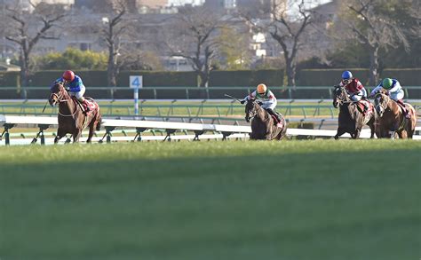 【中山記念予想】的中のポイントは道中の位置取りと前走着順！ 過去10年のレース結果（1～3着馬）のデータ一覧競馬予想データ 競馬まとめ