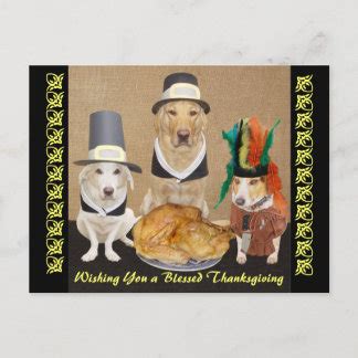 Funny Thanksgiving Cards - Invitations, Greeting & Photo Cards | Zazzle