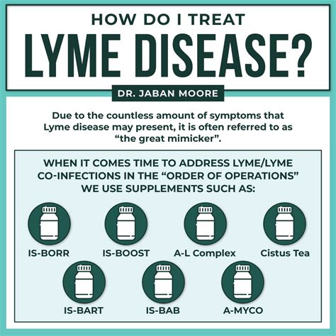 Lyme Disease Our Approach — Dr Jaban