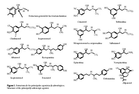 T Y Clembuterol Dosis Cytomel Dosage Guide Zemunmos