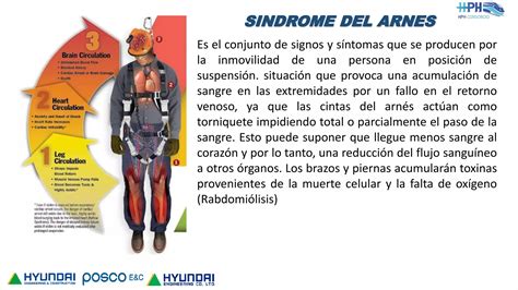 SINDROME DEL ARNES Pptx