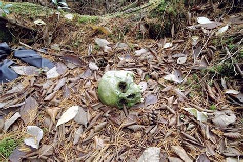 This Is The Dark Side Of Aokigahara Forest AKA The Suicide Hotspot Of