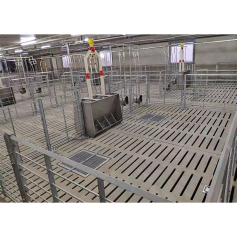 Farm Equipments Pig Farrowing Crates Pig Farming Equipment Pig