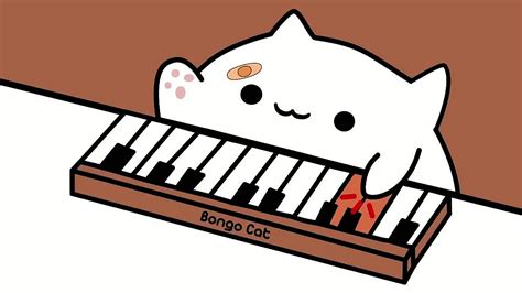 Bongo Cat Wallpapers Wallpapershigh