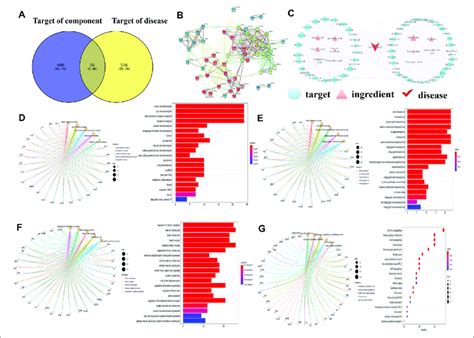 Network Pharmacology Prediction Results A Download Scientific Diagram