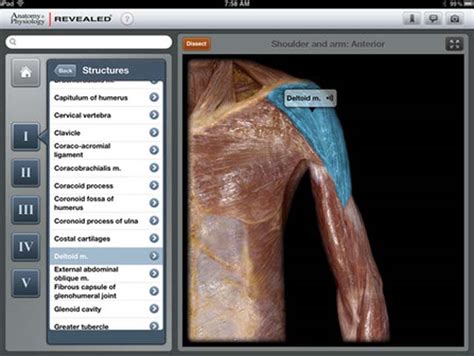 10 Best Anatomy Apps For Ios And Android